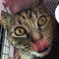 TheTrashPanda's Photo